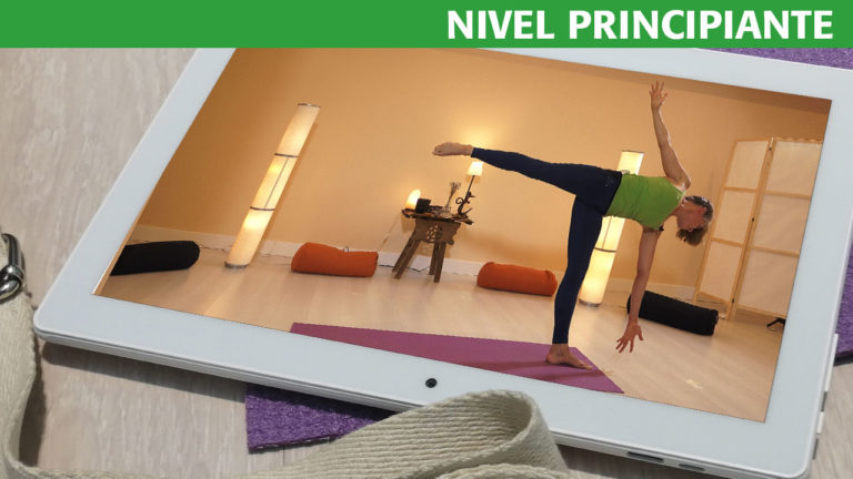 Hatha Yoga Kurmasana postura de la tortuga Clases de Yoga OnLine